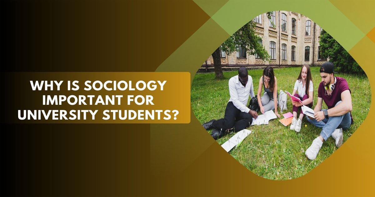 Why Is Sociology Important For University Students?