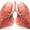 How Pulmonology Services Improve Lung Health?